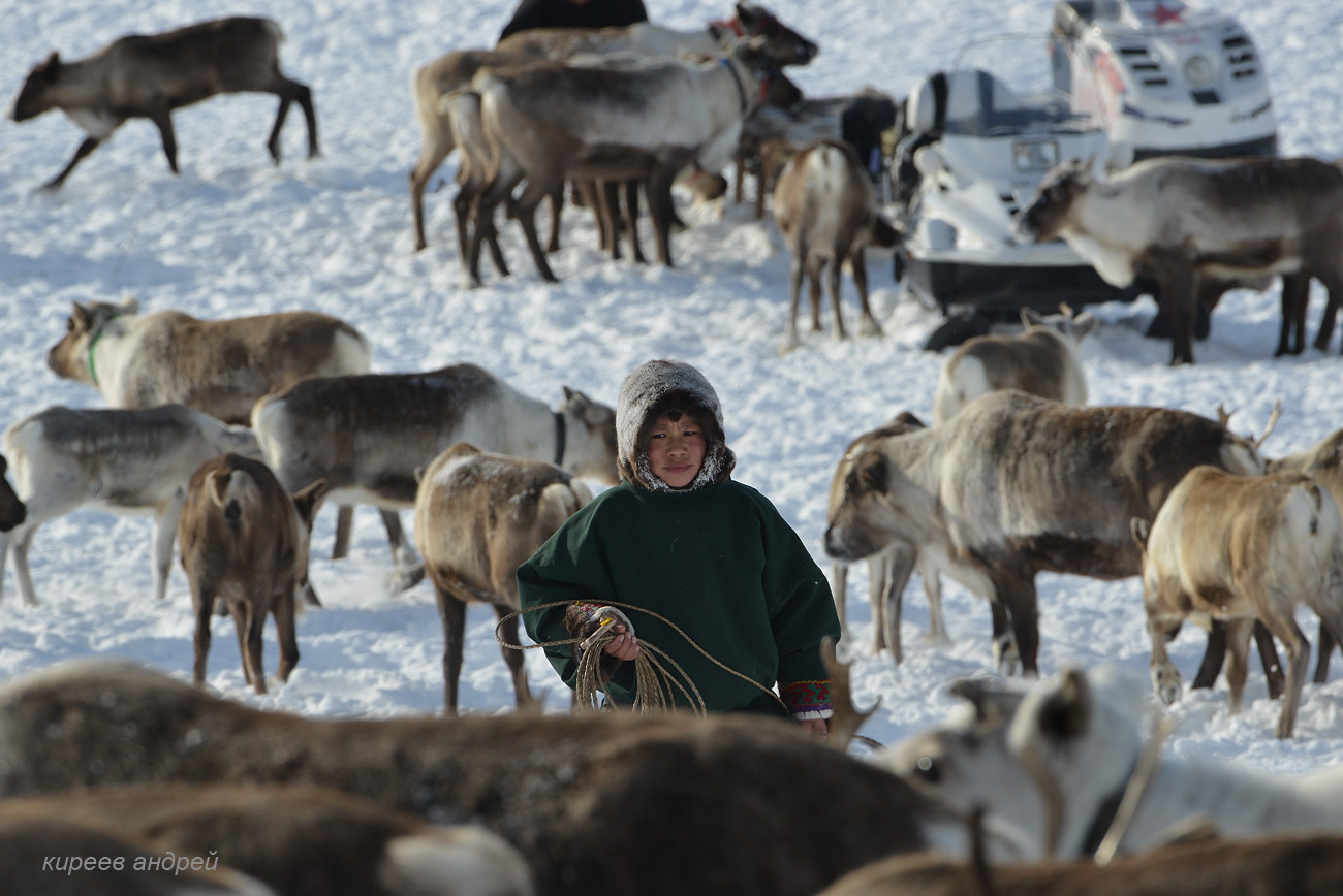 Yamal (Ямал)